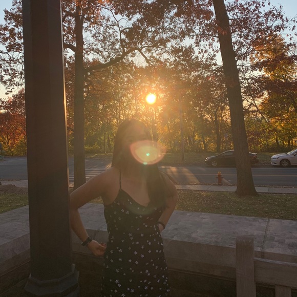 Meet your Posher, Chloe - Picture 1 of 1